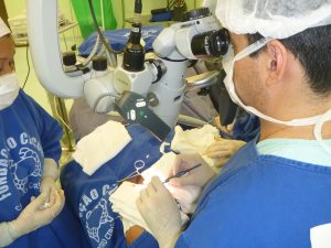 Imagem da notícia - Primeira microcirurgia de palato é realizada no FCecon com sucesso