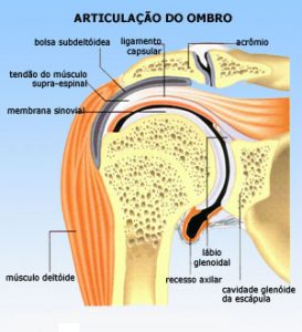 Imagem da notícia - Equipe multidisciplinar realiza cirurgia torácica com extração total de tumor e reconstrução na região da escápula