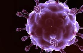 Imagem da notícia - FCecon cria grupo de pesquisa para estudar fatores relacionados ao HPV