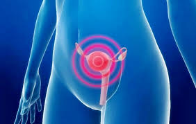 Imagem da notícia - FCecon intensifica cirurgias de colo uterino em 2014