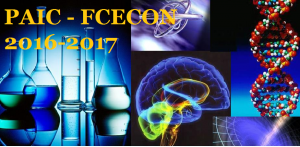 Imagem da notícia - FCecon divulga resultado do PAIC 2016-2017; confira