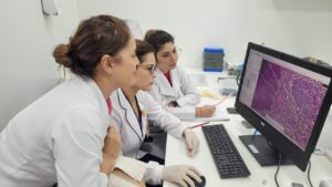 Imagem da notícia - Em Brasília, pesquisadoras do Amazonas participam de treinamento de projeto para prevenção ao câncer de colo uterino