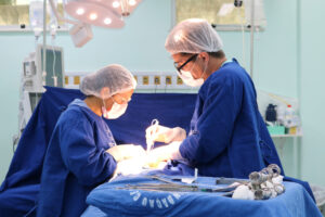 Imagem da notícia - Fundação Cecon realiza 3,2 mil cirurgias oncológicas em 2023