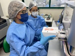 Imagem da notícia - Surto de Oropouche na Amazônica Ocidental foi causado pelo inseto maruim