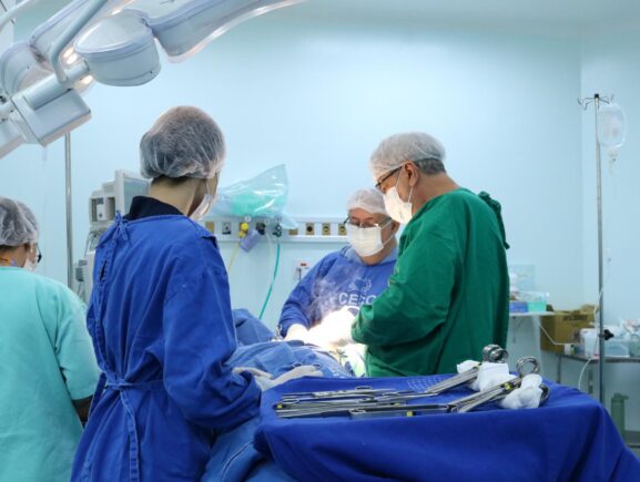 Balanço 2025: Cirurgias no abdômen e pelve foram as mais demandadas na FCecon