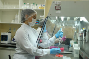 Imagem da notícia - FCecon destaca a relevância das mulheres e meninas na pesquisa em oncologia