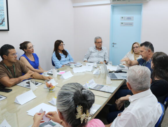 Por unanimidade, Conselho Consultivo aprova relatório anual de gestão da FCecon